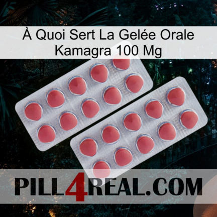 À Quoi Sert La Gelée Orale Kamagra 100 Mg 19